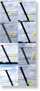 England ufo