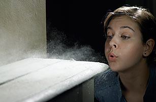 Click to enlarge Household dust