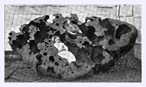 Kids in Meteorite
