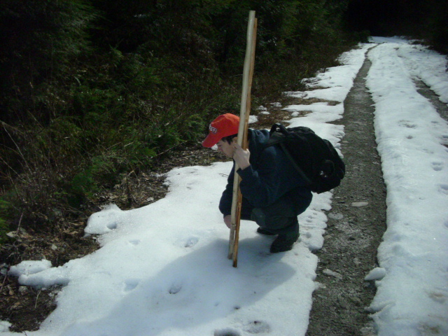 bigfoot tracks