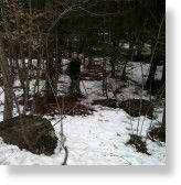 Click to enlarge Area of loki sighting