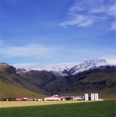 Volcanic Glacier