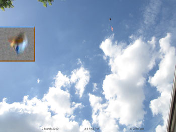 New Zealand ufo