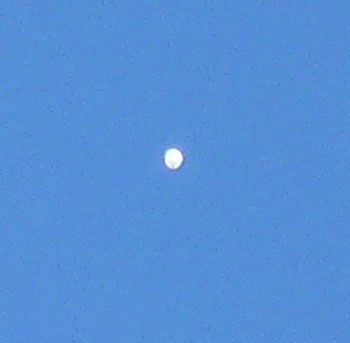 California ufo