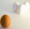 excluded egg