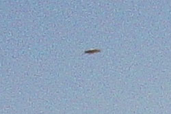 Click to enlarge Argentina ufo