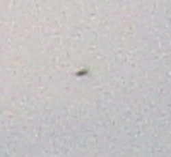 Click to enlarge Argentina ufo