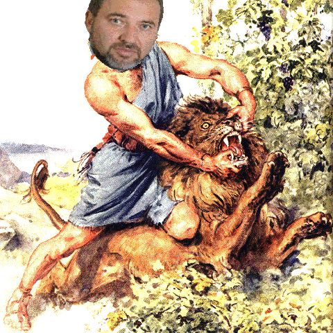 Click to enlarge Lieberman/sampson