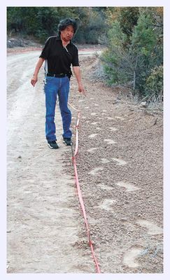 Click to enlarge Bigfoot Tracks