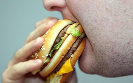Telegraph uk junk food