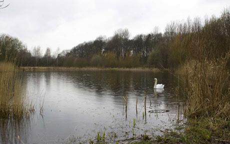 Stonebow Washlands