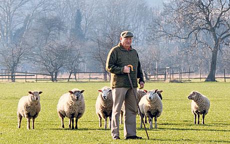 Farmer 