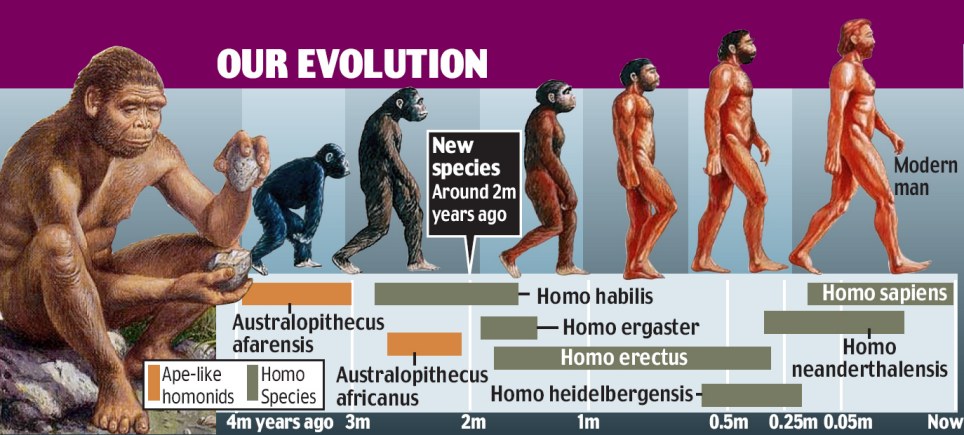 evolution