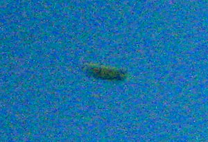 Click to enlarge Wisconsin ufo