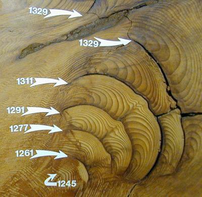 Tree Rings