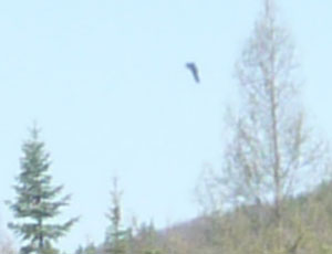 Click to enlarge New Hampshire ufo