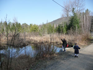 Click to enlarge New Hampshire ufo