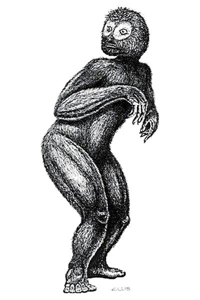 Skunk Ape