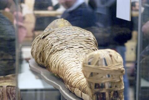 Click to enlarge Mummy