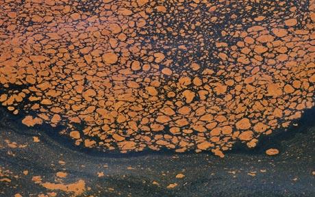 Click to enlarge Telegraph uk oil slick