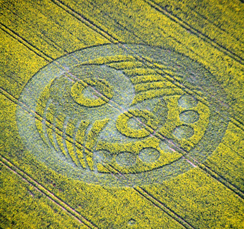 Crop circle