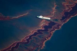 aerial view of the oil leaked