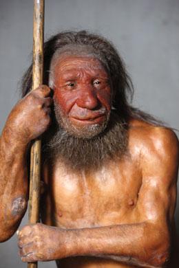 Neanderthal