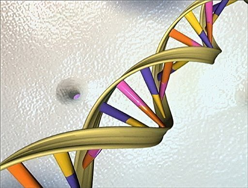 Click to enlarge DNA Robot