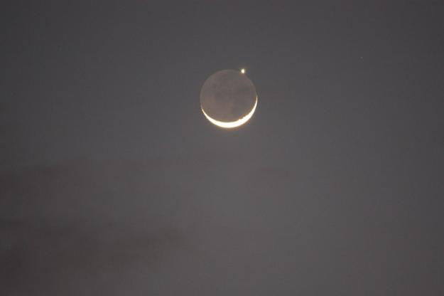 Venus Eaten