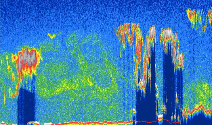 Dust Plume