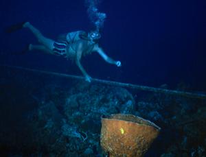 Deep Sea Cables