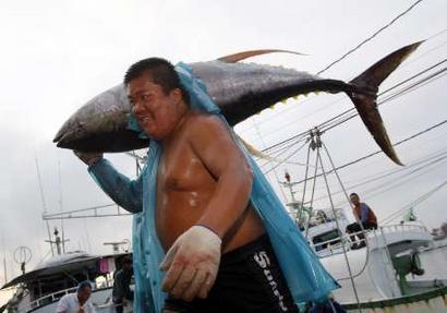 Click to enlarge overfishing