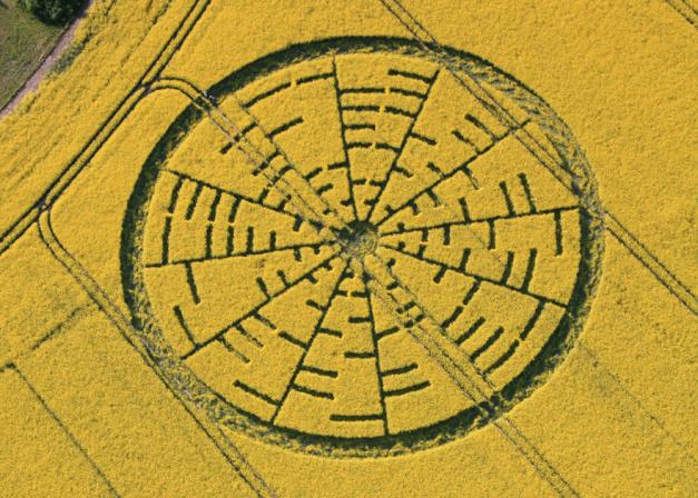 Crop Circle