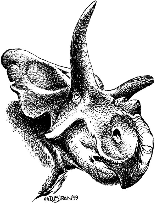 Click to enlarge Image