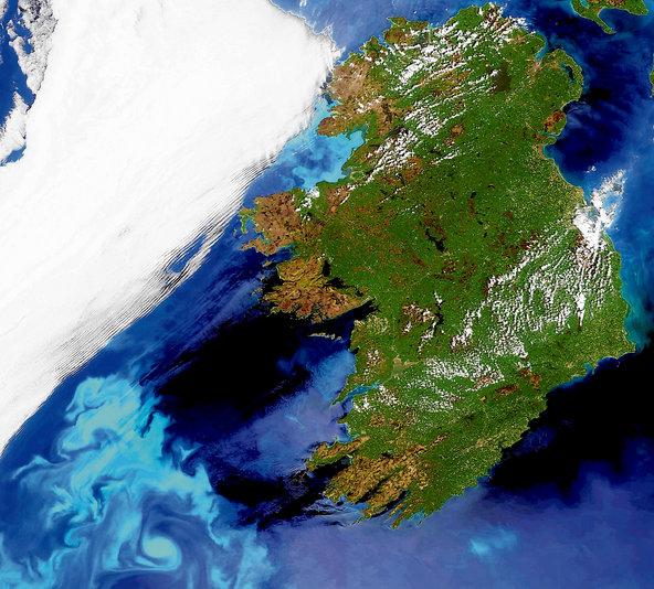 Phytoplankton Blooms