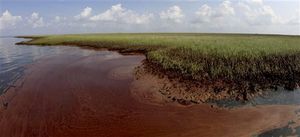 Oil from the Deepwater Horizon spill 