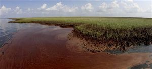 Click to enlarge Oil from the Deepwater Horizon spill