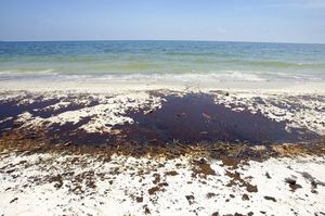 Sheets of oil washed ashore in Gulf Shores, Ala.