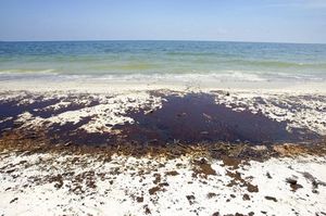 Click to enlarge Sheets of oil washed ashore in Gulf Shores, Ala.