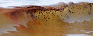 Click to enlarge Crude oil from the Deepwater Horizon oil spill washes ashore in Orange Beach