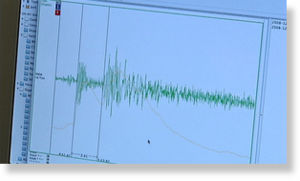 Darwin Quake