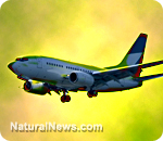 Click to enlarge Toxic Cabin Air