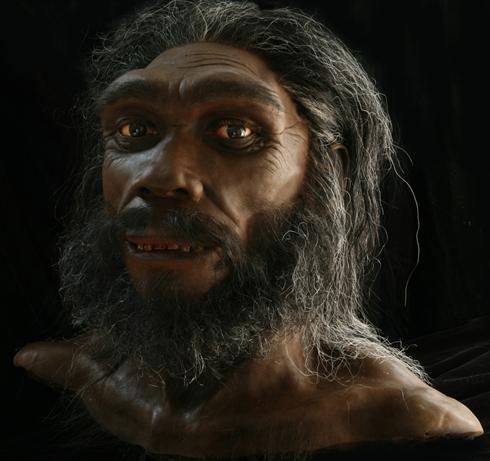 Hominid