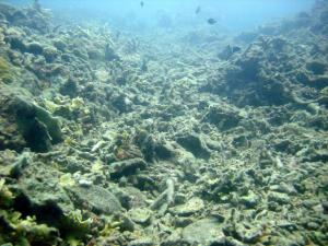 Sick Ocean