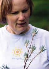 Needle Losing Pine