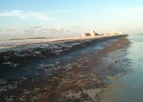 Click to enlarge oil beach