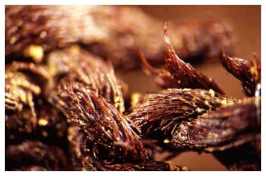 Click to enlarge Flax yarn