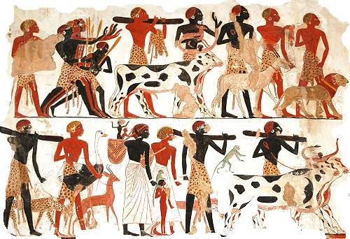 Egyptian ararians