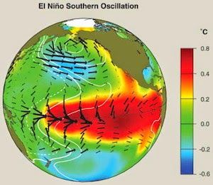 El nino S.A. oscillation