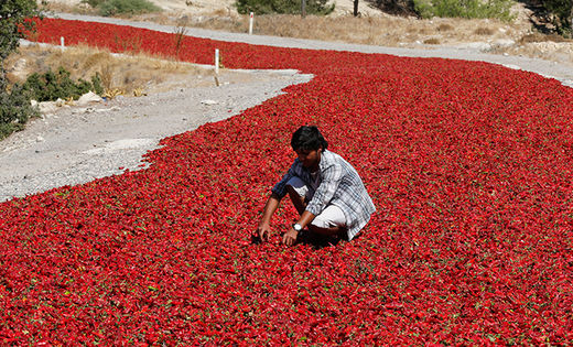 Click to enlarge turkey exports food russia